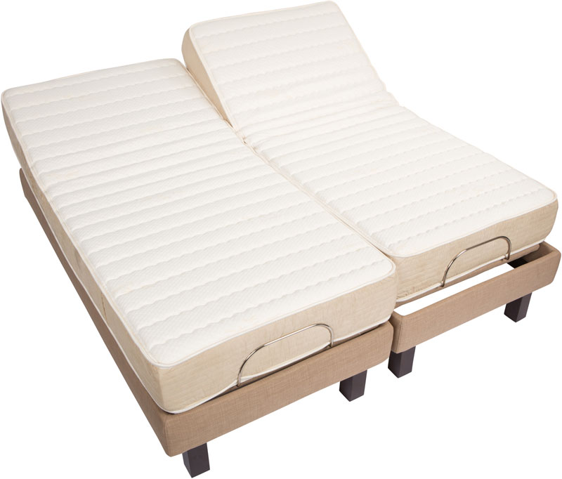 high profile los angeles natural organic latex best adjustable bed